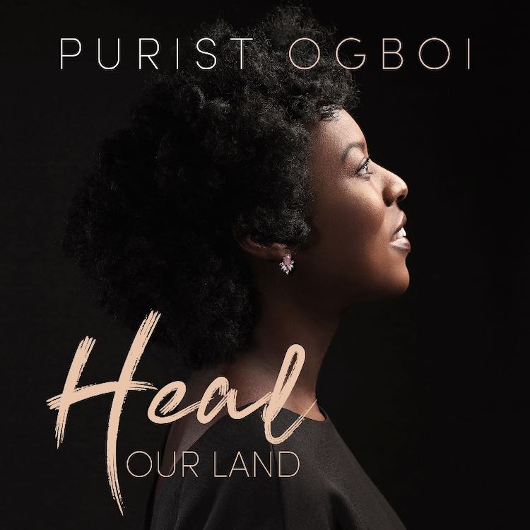 Heal Our Land - Purist Ogboi