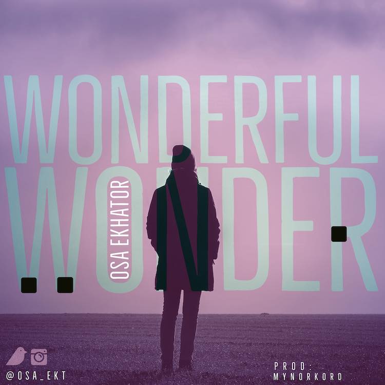 Wonderful Wonder - Osa Ekhator