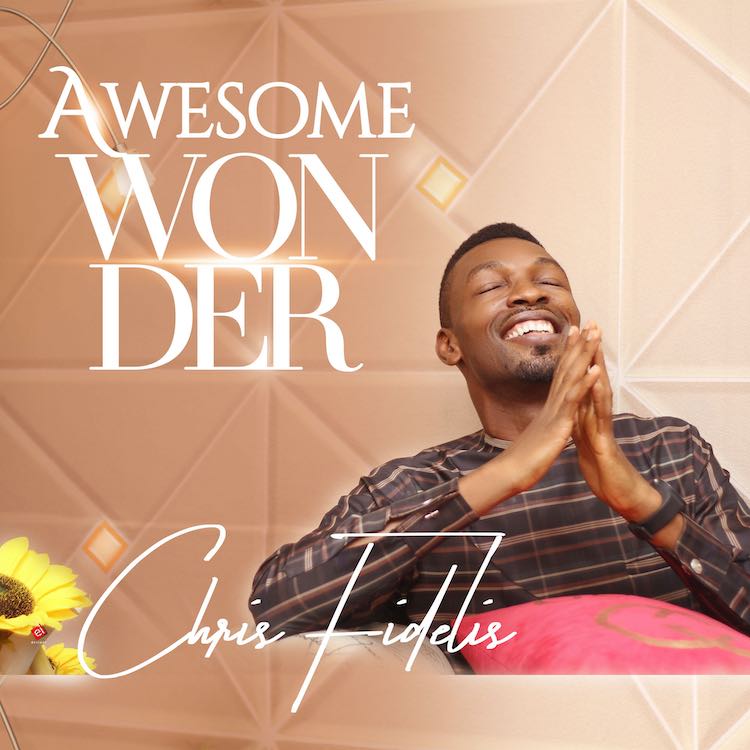 Awesome Wonder - Chris Fidelis