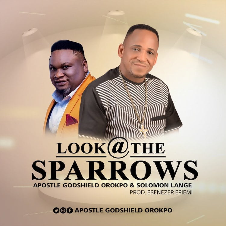 Look A The Sparrows - Apostle Godshield Orokpo ft. Solomon Lange