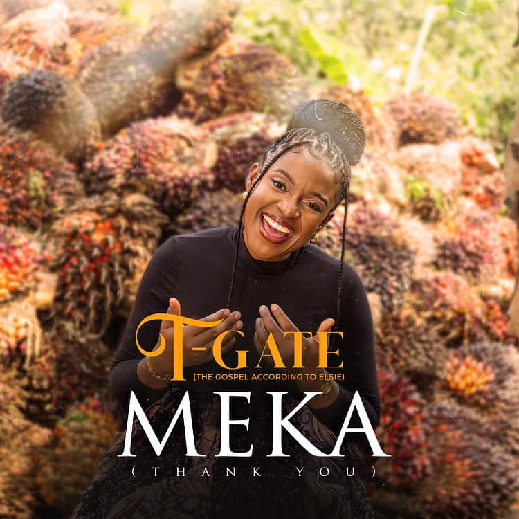 Meka - T-GATE