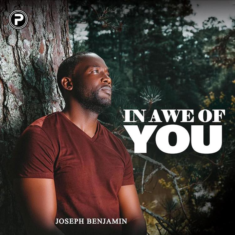 In Awe of You - Joseph Benjamin