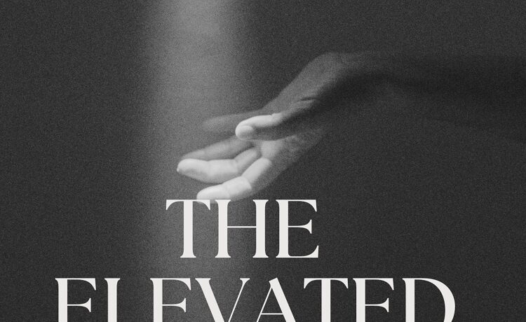 The Elevated - Robinson Freeman